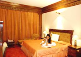 Hotel Mount View, Near City Centre