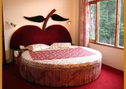Hotel Mountain Top,Near Hidimba Temple