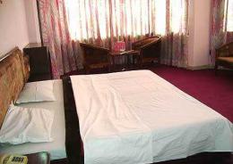 Hotel Manali Palace, NH - 21