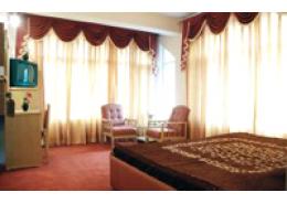 Hotel Ankit Palace , Naggar Road