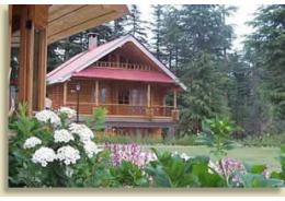 The Chalets Naldehra Resort ,Naldehra