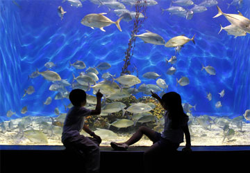 Philippines Tour Packages