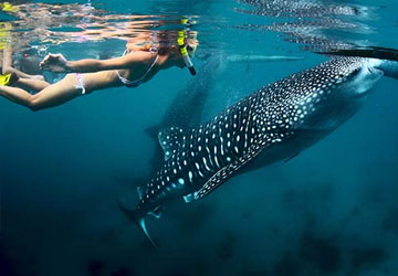Philippines Tour Packages