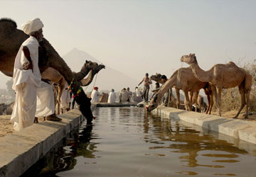 Golden Triangle